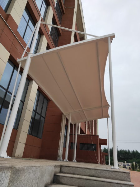 ���������SĤ�Y������